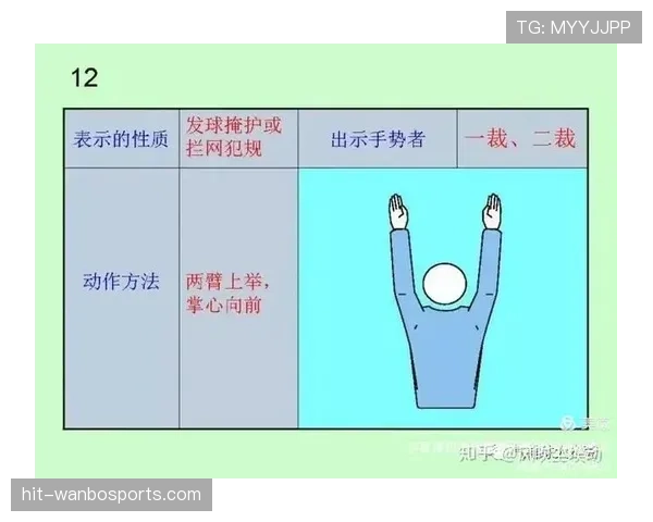 深入解析裁判手势规则，看懂判罚信号的正确方式
